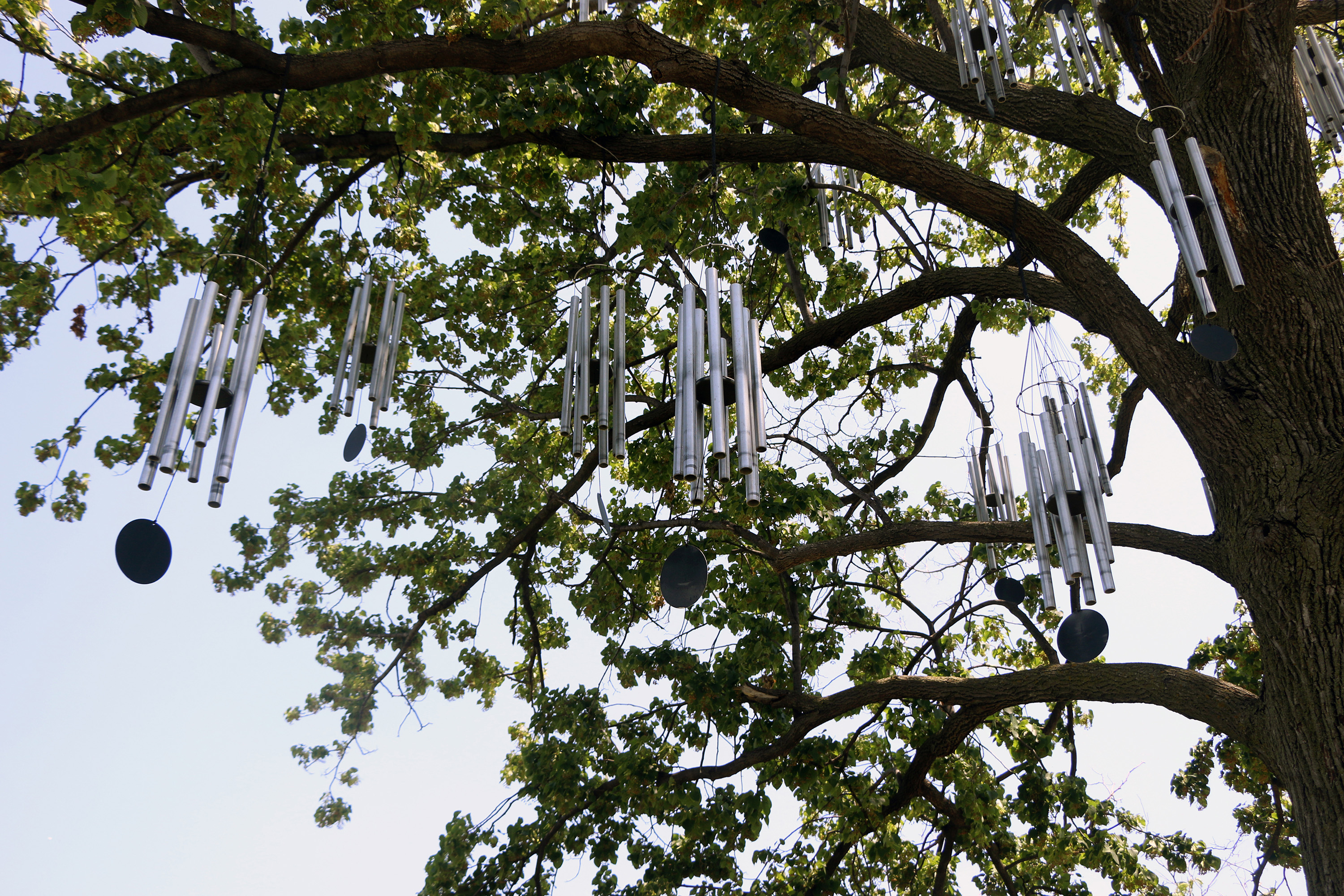 Pierre Huyghe After Dream 1997/2009 at Minneapolis Sculpture Garden